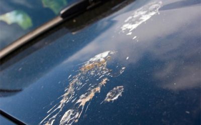 5 Everyday Things That Damage Your Car’s Paint